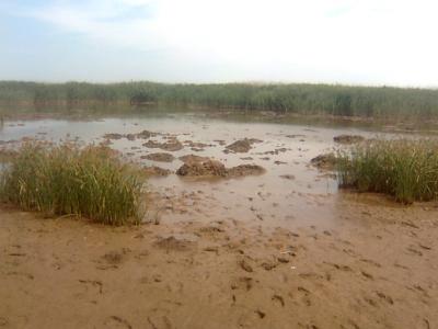 Прикрепленное изображение: Фото0639.jpg